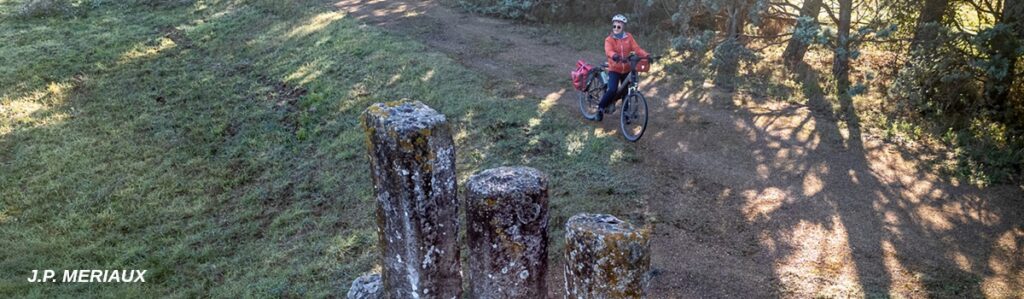 colonnes de cesar jp meriaux colonnes de cesar jp meriaux