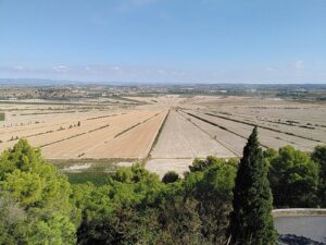 822285900 122111881851291229 4485024337152150302 n